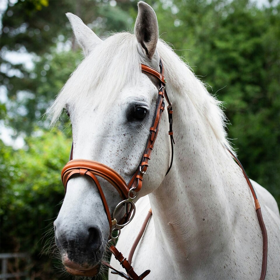 image 1 of Gallop Equestrian Comfort Bridle + Rubber Reins Brown | Size: Full
Colour: Tan