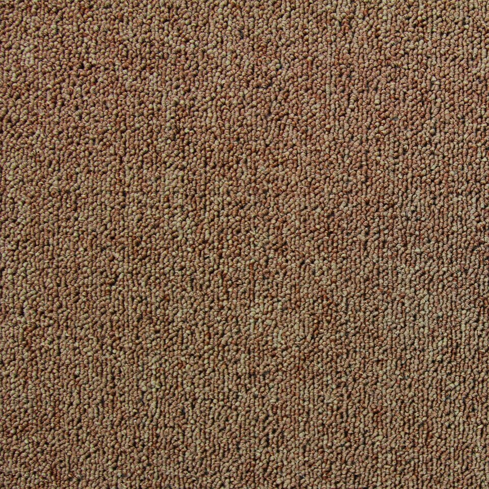 image 1 of 40 x Carpet Tiles 10m2 / Sand Brown