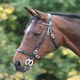 image 1 of Shires Blenheim Plain Inhand Bridle Brown | Size: Pony
Colour: H.Brown