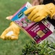 image 3 of Westland Sulphate of Iron for Ericaceous Plants 1.5 kg box
