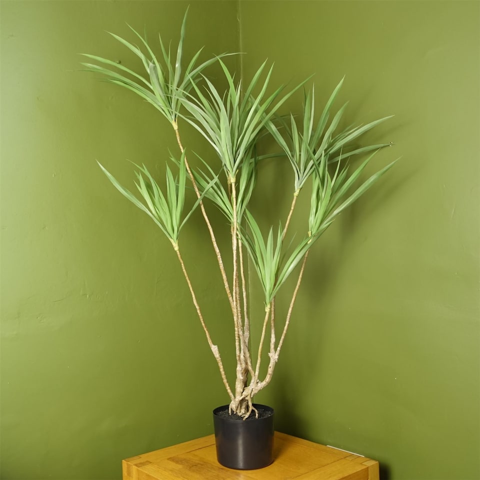 image 1 of Dragon Tree Dracaena Plant 125cm Natural Look Artificial Botanik | Green | 4ft