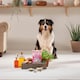 image 2 of Joints & Bones Salmon Oil Soft Bite Dog Treats (8x90g)