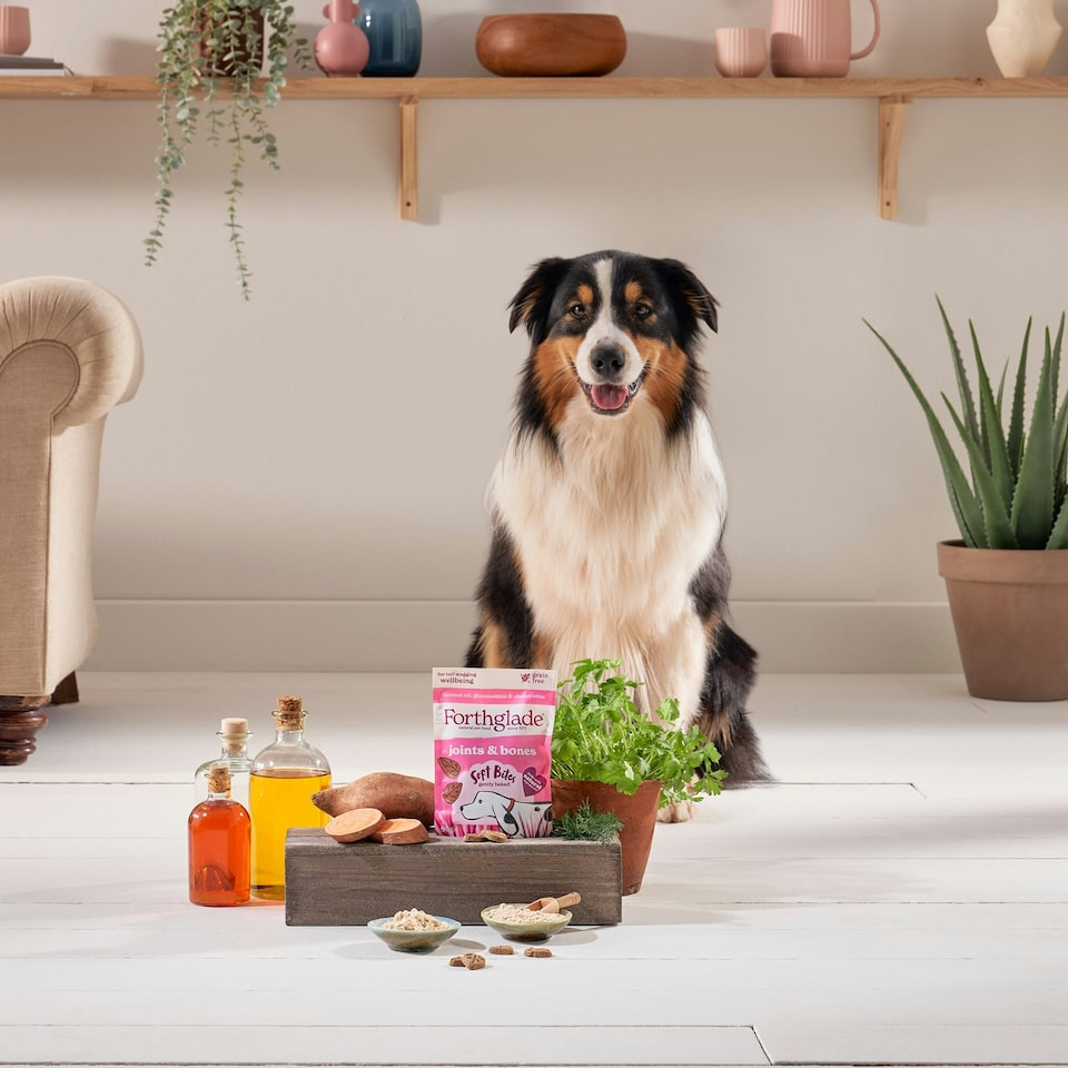 image 1 of Joints & Bones Salmon Oil Soft Bite Dog Treats (8x90g)