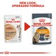 image 4 of ROYAL CANIN® Intense Beauty Care Adult Wet Cat Food N/A | Size: 12 x 85g
Texture: Jelly