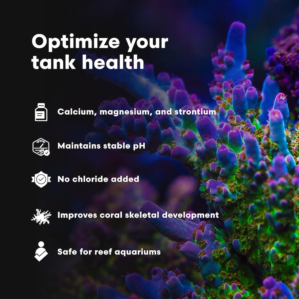 image 1 of Brightwell Kalk Plus 2 Kalkwasser 7.9oz - Calcium Supplement for Aquariums