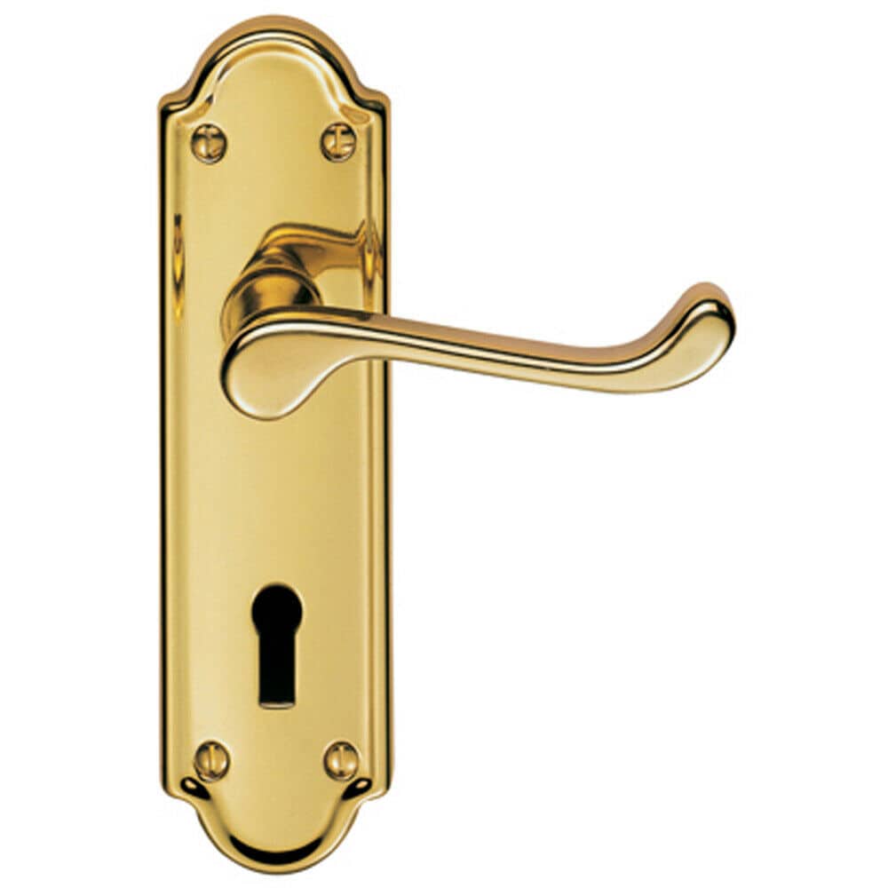 Loops PAIR Victorian Upturned Handle on Lock Backplate 168 x 47mm Polished Brass in Metallics