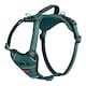 image 1 of Halti Anatomy Dog Harness - Teal - S