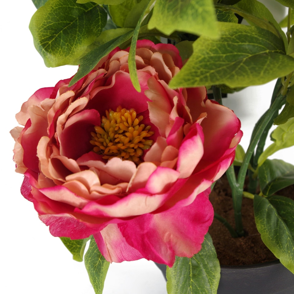 image 1 of 52cm Artificial Peony Plant Pink