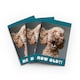 image 1 of Funny Cockapoo Birthday Card How Old Joke Set of 3 Greeting Cards Blank Inside