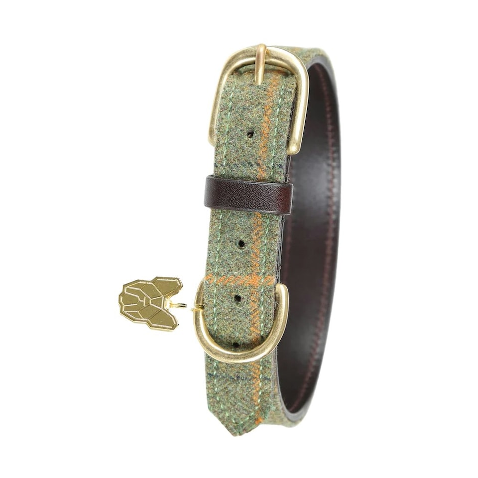 image 1 of Digby & Fox Checked Leather Dog Collar - Red/Yellow/Blue - M - Neckline: 38cm-46cm