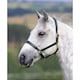 image 2 of Blenheim Ragley Leather Horse Headcollar - Black - X Full