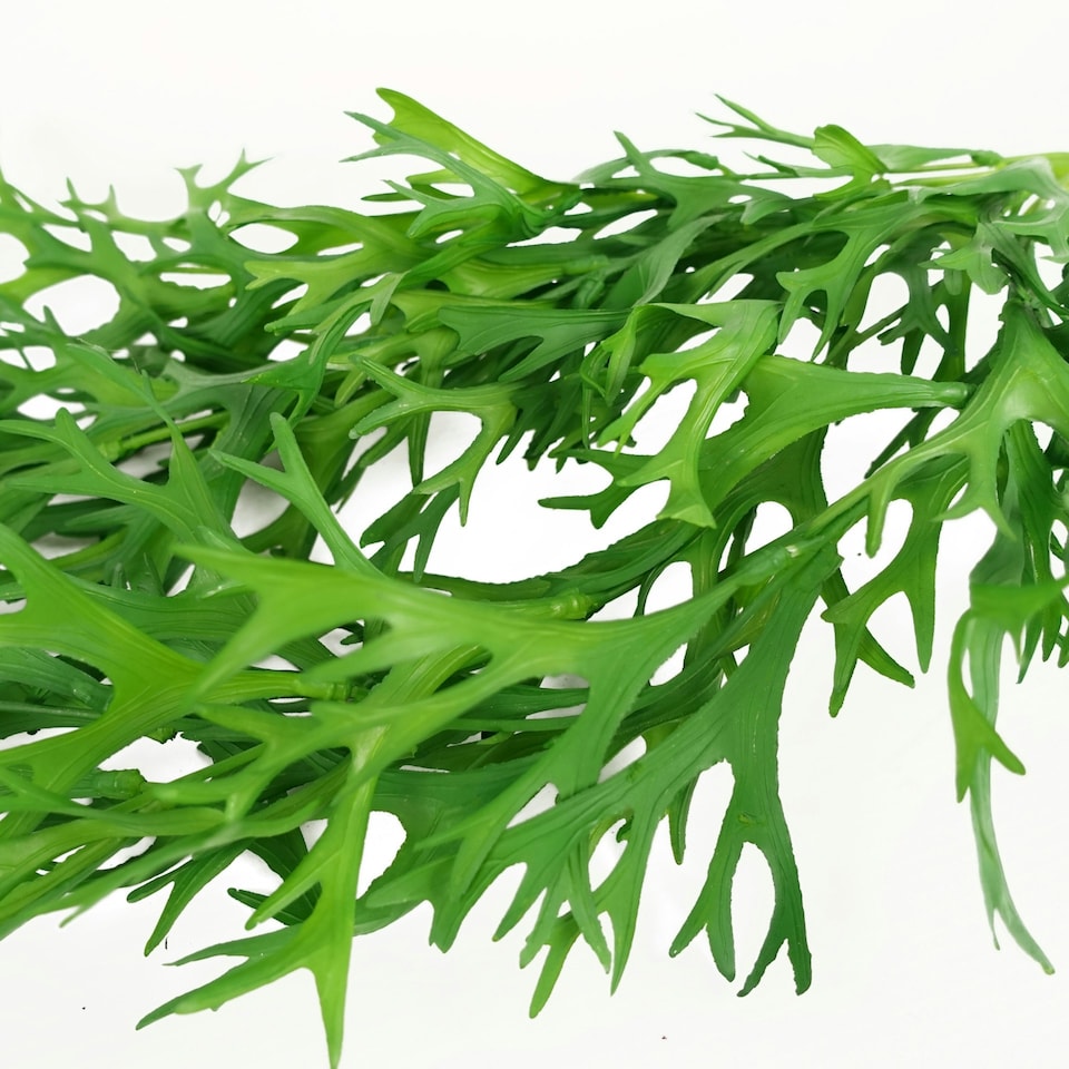 image 1 of Artificial Staghorn Fern Botanik