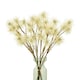 image 2 of Hill Interiors Xanthium Spray Artificial Flower - Cream - One Size