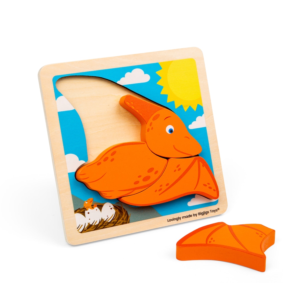 image 1 of Chunky Lift Out Pterodactyl