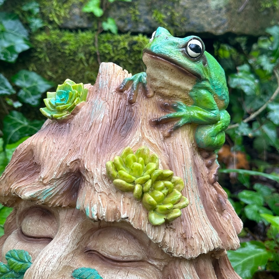 image 1 of Animal Crackers Frog Toad House Novelty Shelter For Frogs And Other Wildlife