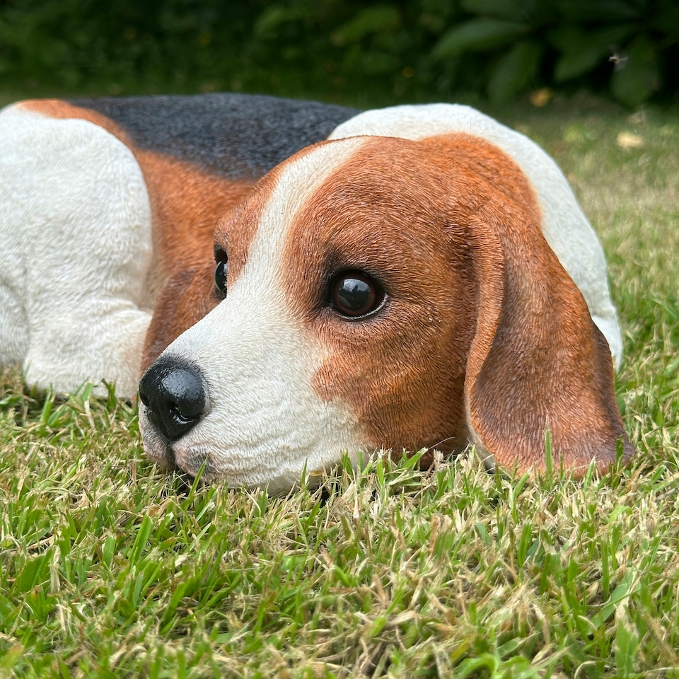 image 1 of Animal Crackers Laying Beagle Figurine Home Or Garden Decoration