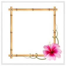 Bamboo border (Picture Frame) White | M