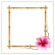 image 1 of Bamboo border (Picture Frame) White | M