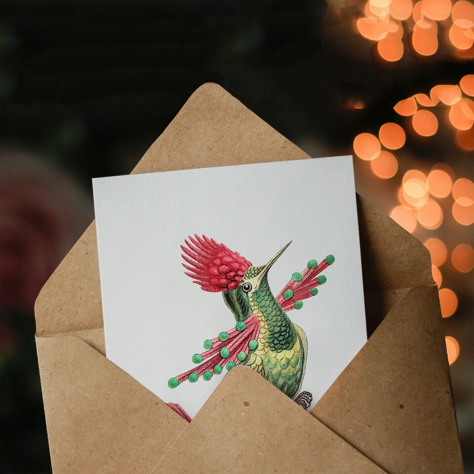 image 1 of Ernst Haeckel Art Card Hummingbird Vintage Illustration
