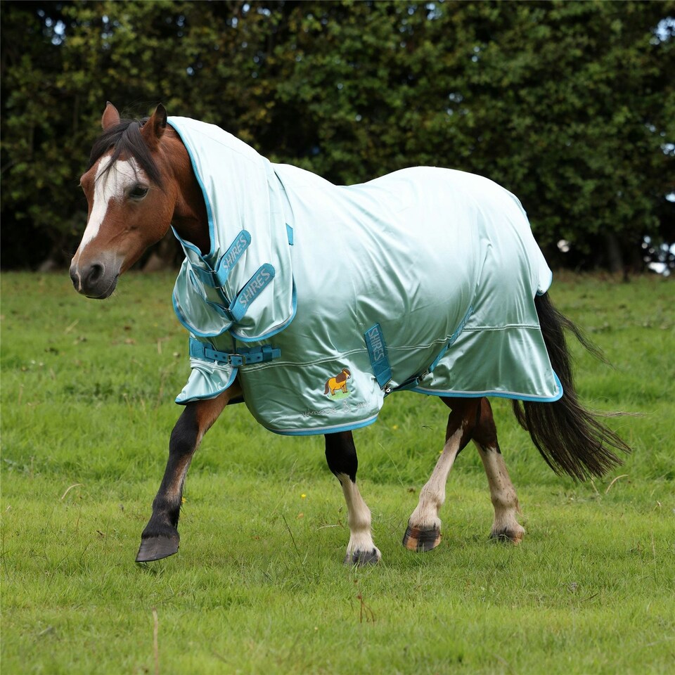 image 1 of Winnie & Me Fly Combo Rug Blue | Size: 63 Inch / 5'3 Inch
Colour: Blue