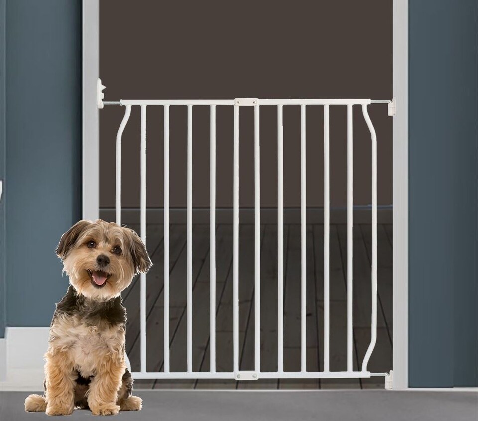image 1 of Bettacare Eco Screw Fit Pet Gate, White, 90cm - 100cm, Screw Fitted Dog Gate, Safety Gate for Puppy | White
