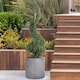 image 10 of Leaf Embossed Brown Round Garden Planter D37 H37 cm, 39.8 ltrs Cap.
