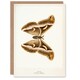image 1 of Sherman Denton Art Card Ailanthus Silk Moth Vintage Illustration