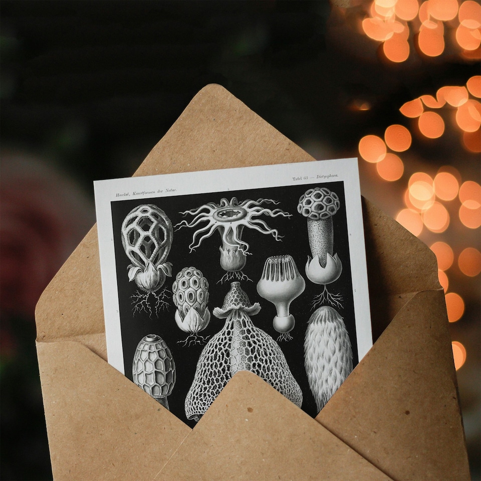 image 1 of Ernst Haeckel Art Card Basimycetes Fungi Species Vintage