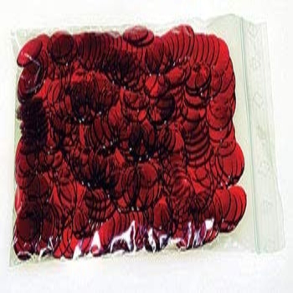 Betzold 1887 Transparent Counter Set 250-Piece Red /Toys - Betzold - TOYS