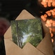 image 3 of PC Skovgaard Beech Wood in May Zealand Landscape Art Greeting Card