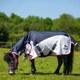 image 3 of Gallop Equestrian Ponie Turnout Fly Rug Combo Blue | Size: 4ft 3
Colour: Navy