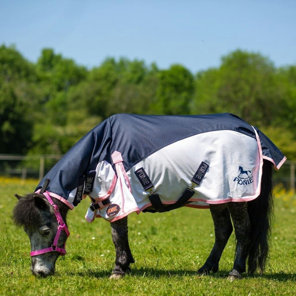 image 1 of Gallop Equestrian Ponie Turnout Fly Rug Combo Blue | Size: 4ft 3
Colour: Navy