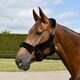 image 2 of Rhinegold Fur Trim Headcollar Blue | Size: X-Full
Colour: Navy