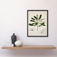 image 2 of Sarah Featon Framed Wall Art New Zealand Rauhuia and Hinau Flowers Home Décor