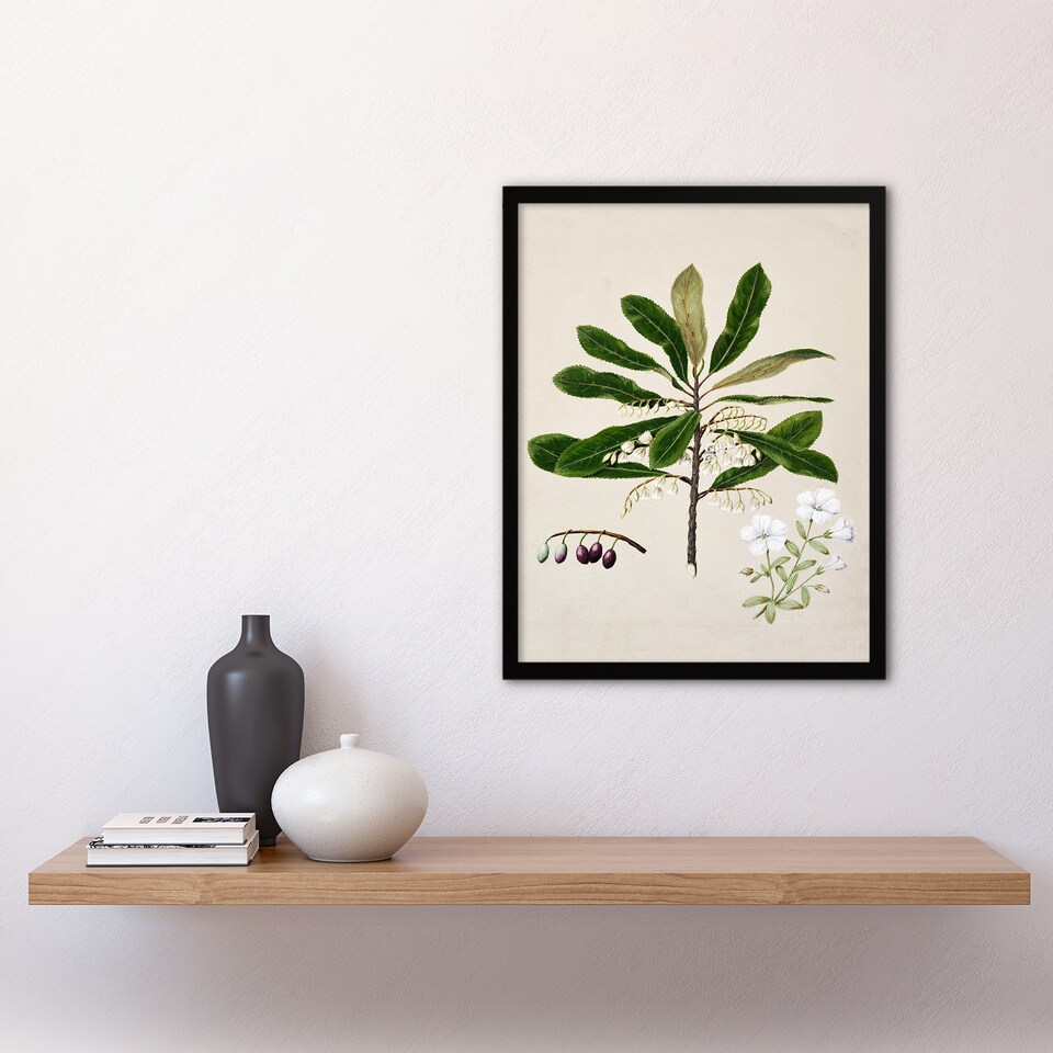 image 1 of Sarah Featon Framed Wall Art New Zealand Rauhuia and Hinau Flowers Home Décor