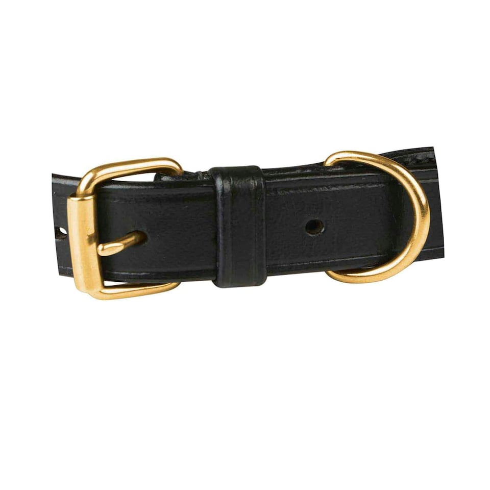 image 1 of Weatherbeeta Rope Leather Dog Collar - Navy/Brown - XL
