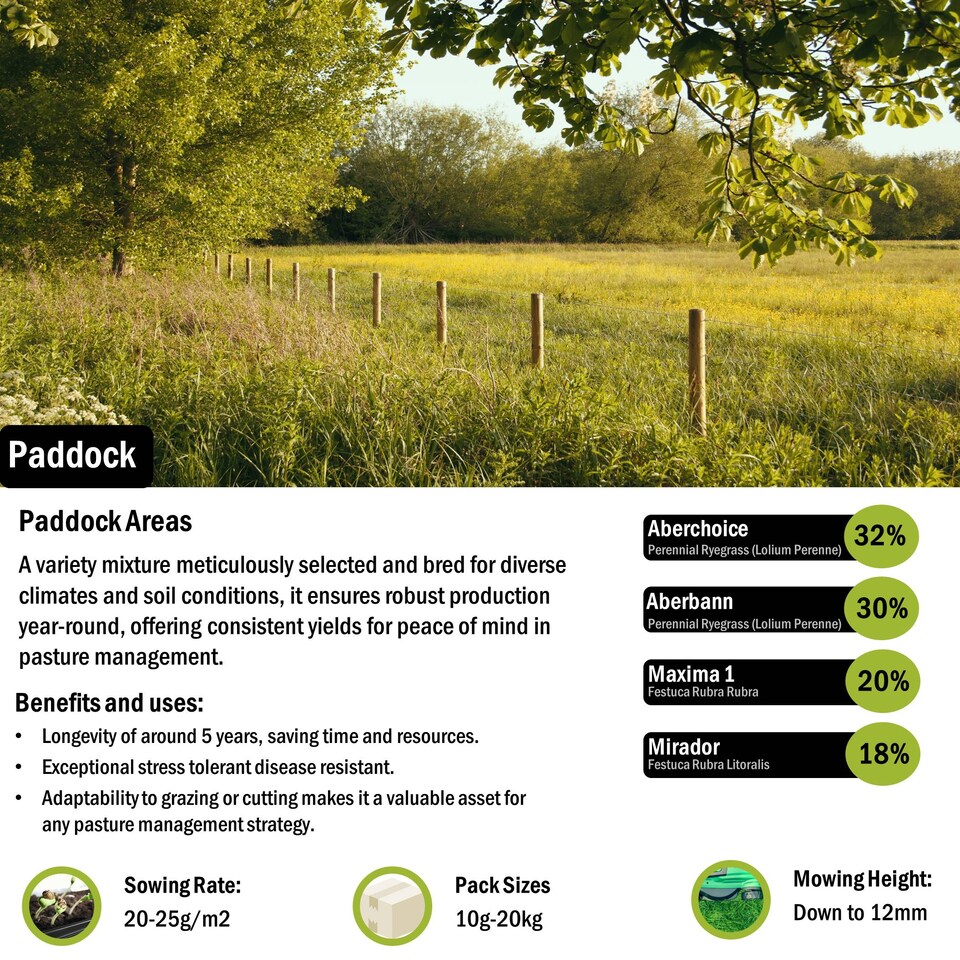 image 1 of Pegdev Paddock Grass Seed Resilient Versatile High Yielding 2.5kg