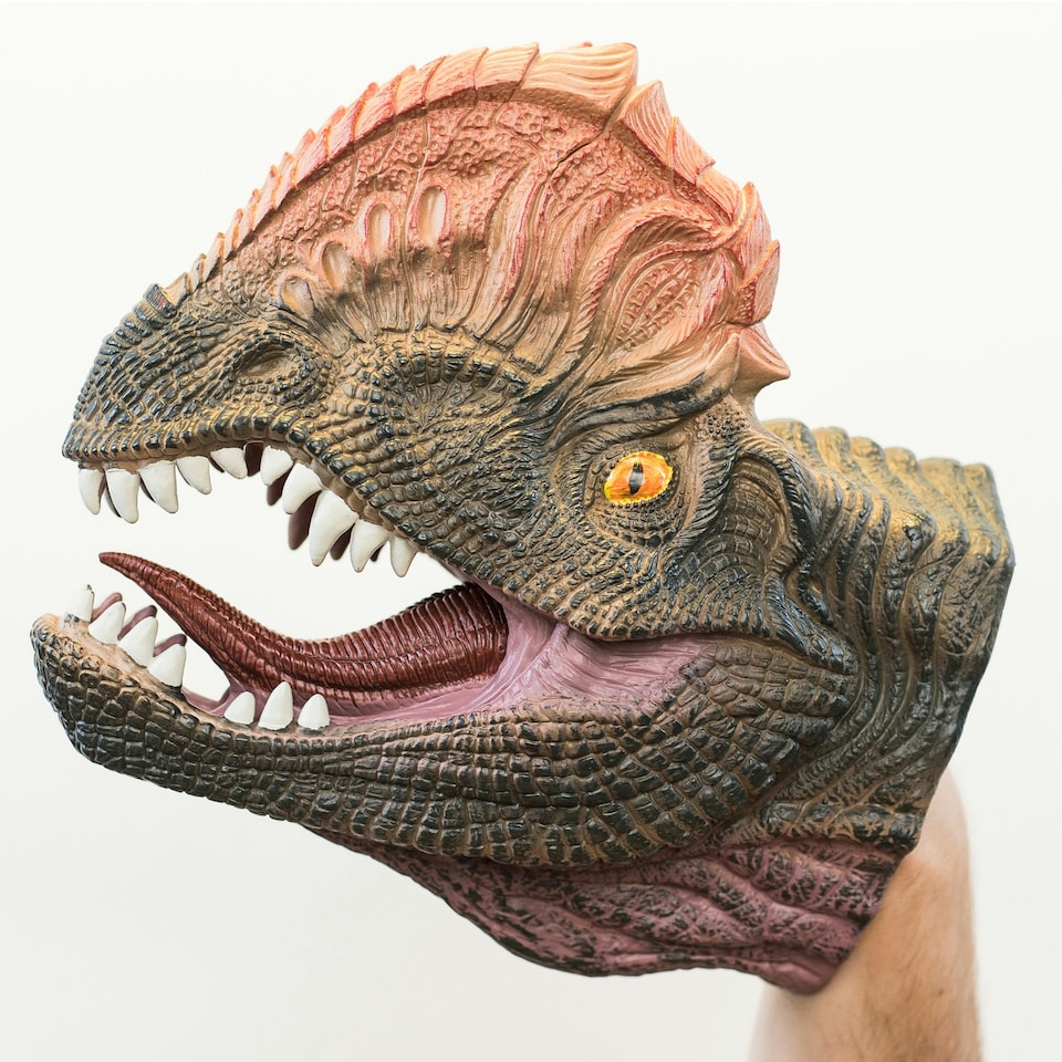 image 1 of Wild Thingz Dilophosaurus Hand Puppet