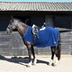 image 1 of Rhinegold Fixed Chest Fleece Ride On Rug Blue | Size: 6ft 9
Colour: Navy