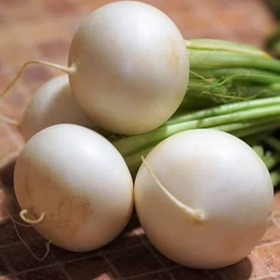 image 1 of Marshalls Garden Turnip Seeds Snowball, 2000 Seeds, Quick-cropping White Globe