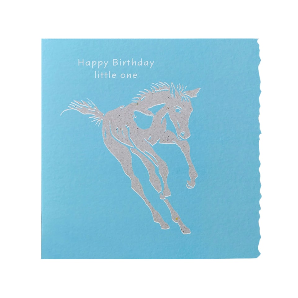 Deckled Edge Colour Block Pony Greetings Card - Happy Birthday Little One - Foal (Light Blue) - One Size