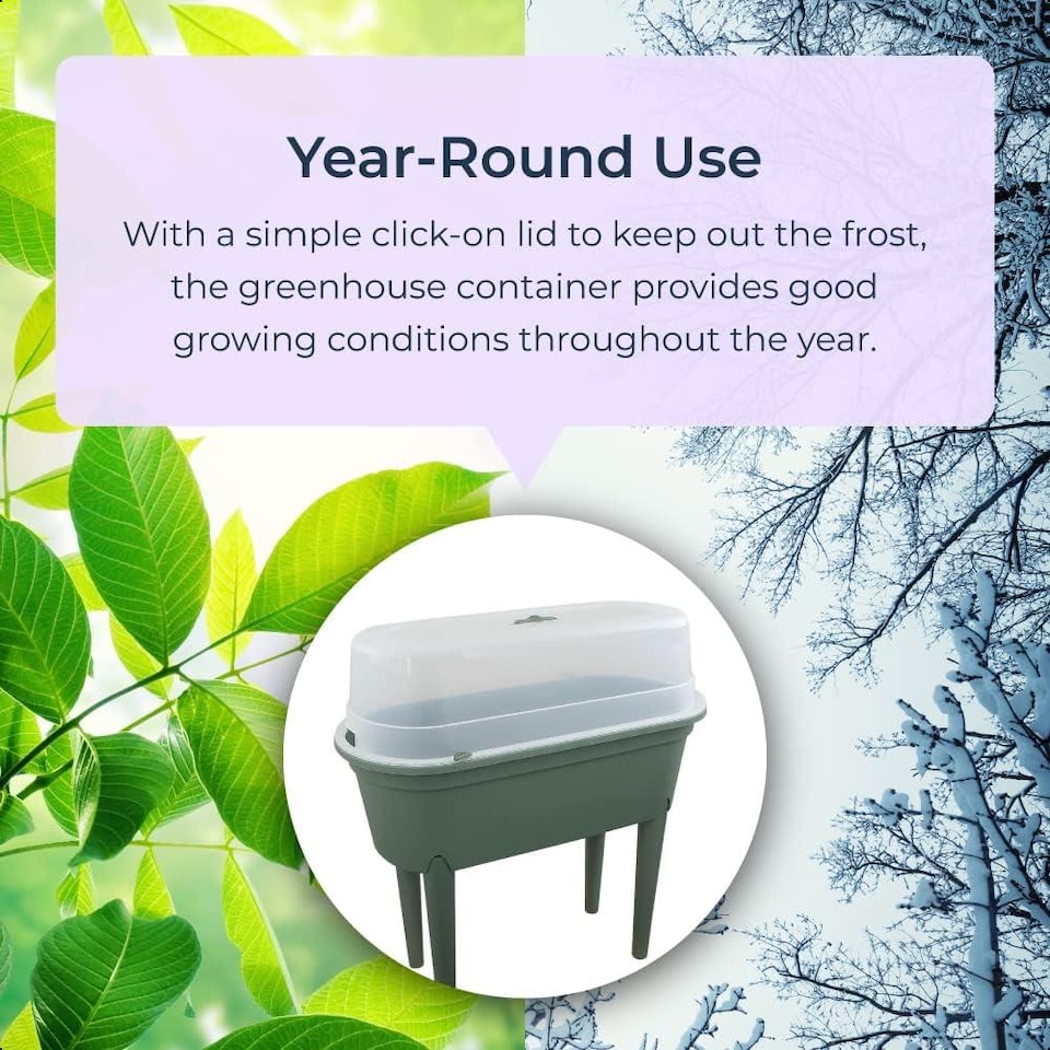 image 1 of Mini Propagator Greenhouse Raised Trug
