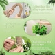 image 6 of 4 Pack Monstera Climbing Support, 2 Pack 60cm & 2 Pack 120cm Planting Stick Coconut Plant Support