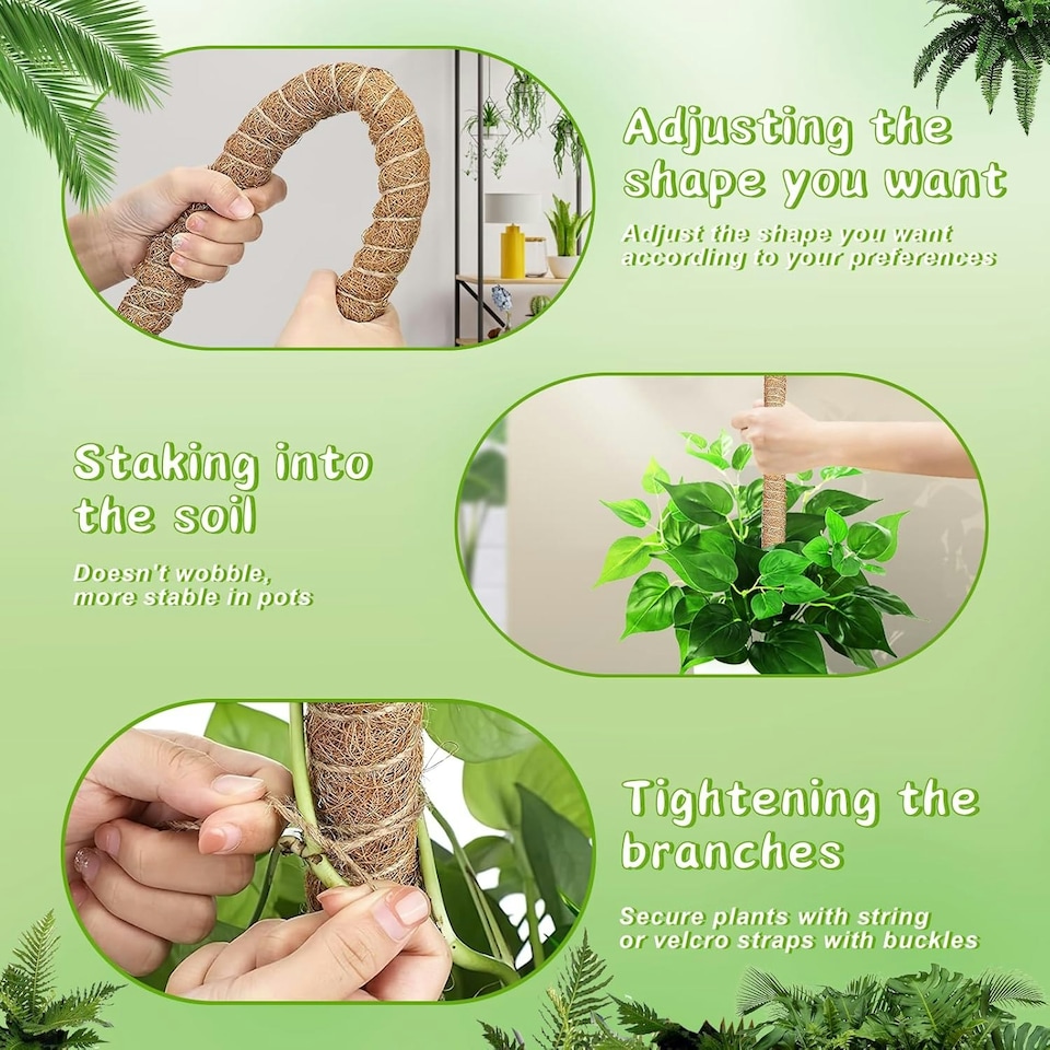 image 1 of 4 Pack Monstera Climbing Support, 2 Pack 60cm & 2 Pack 120cm Planting Stick Coconut Plant Support