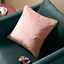 Blush/Gold - Selected