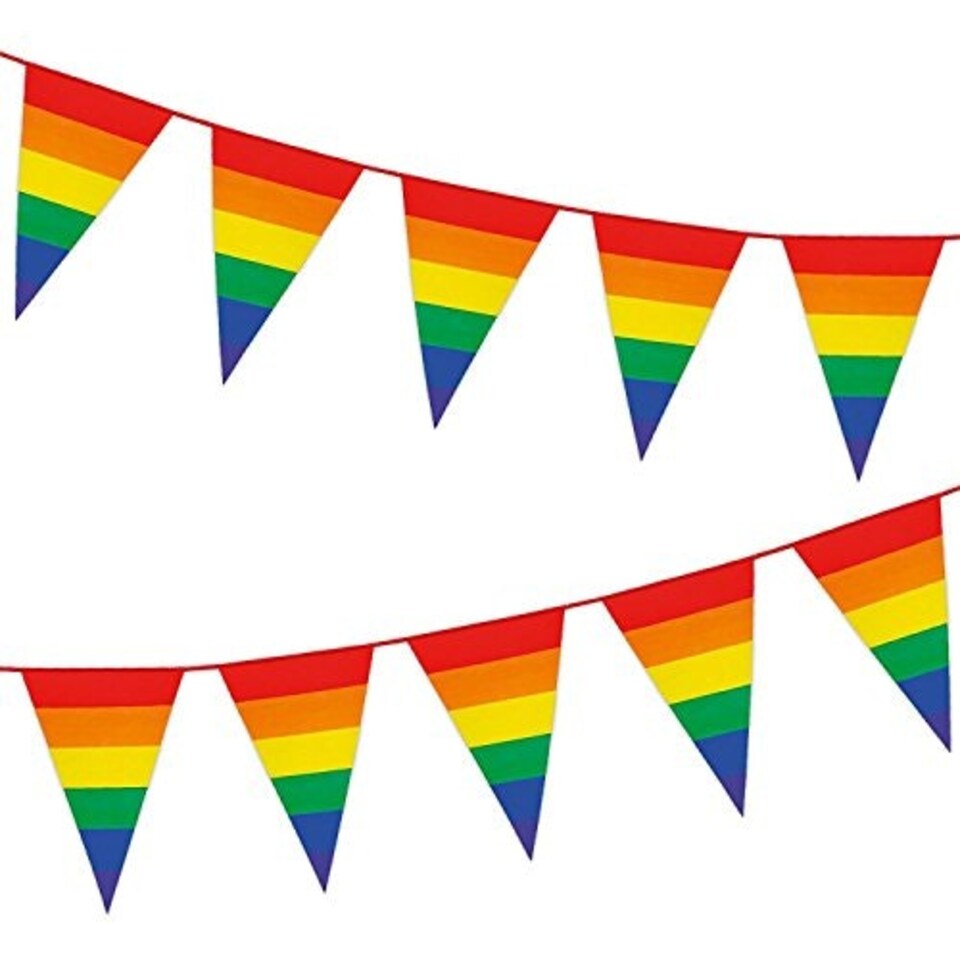 image 1 of Pride Flags Party Bunting 10m with 20 Pennants