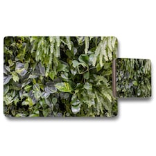 Trend biophilic design. Wall from plants, vertical garden,urban jungle, modern interior decoration (Placemat & Coaster Set)