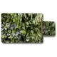 image 1 of Trend biophilic design. Wall from plants, vertical garden,urban jungle, modern interior decoration (Placemat & Coaster Set)