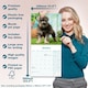 image 6 of Schnauzer Miniature  2026 Calendar | Square Wall Calendar | Dog Breed Gift | Plastic Free Packaging | by Avonside Publishing