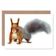 image 1 of Watercolour Cute Squirrel Art Blank Just to Say Card